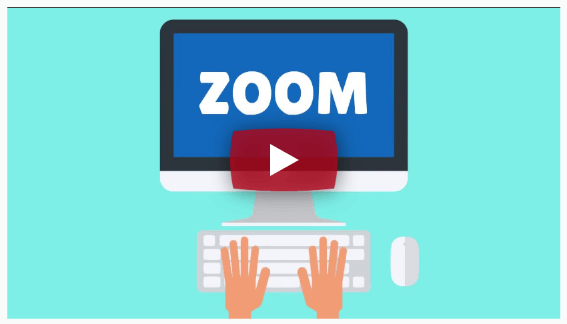 Zoom Training (40 Videos)